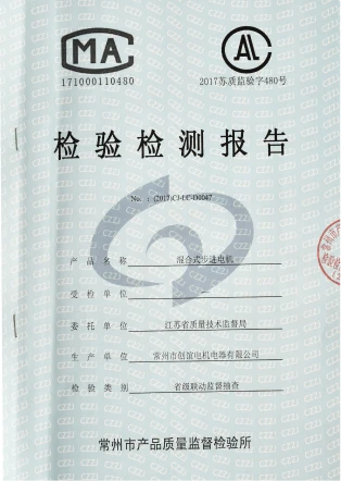 Inspection Report - hybrid stepper motor