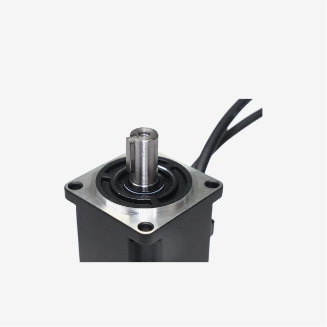60mm Servo Motor