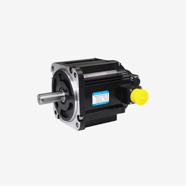 Low Voltage Servo Motor