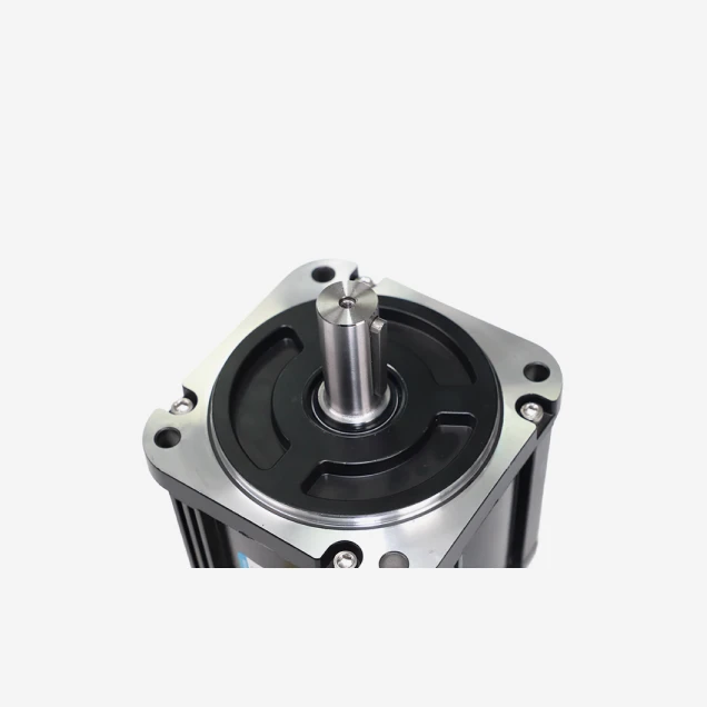 130mm Servo Motor