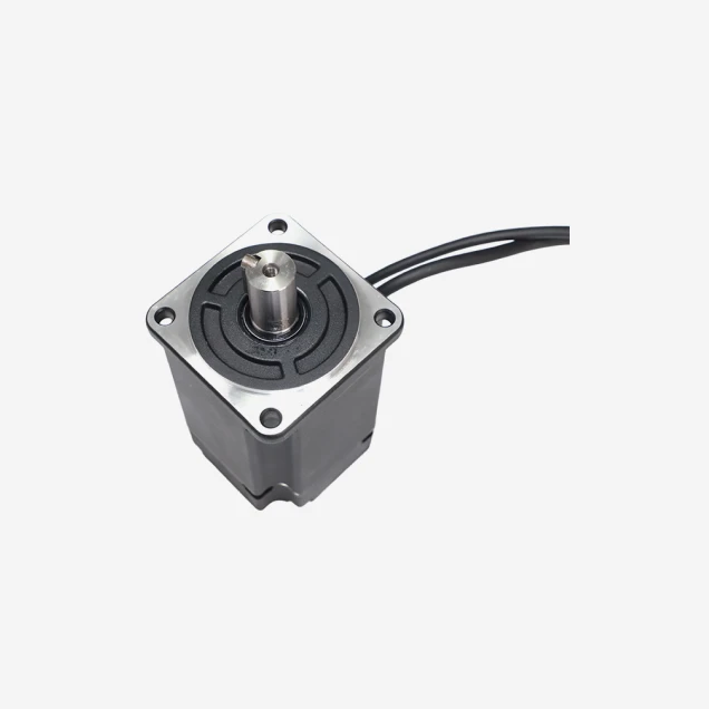 Low Voltage Servo Motor