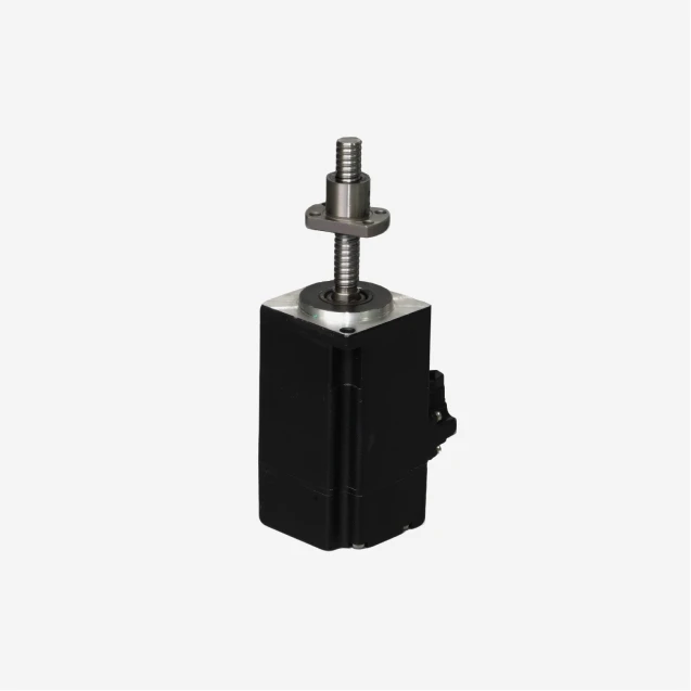 Ball Screw Servo Motor