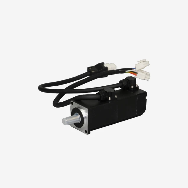 Low Voltage Servo Motor